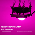 Grow light 200w cob plant light